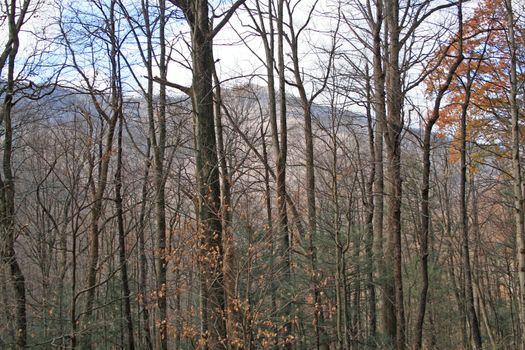 Views seen in the Great Smoky Mountains National Park in Tennessee