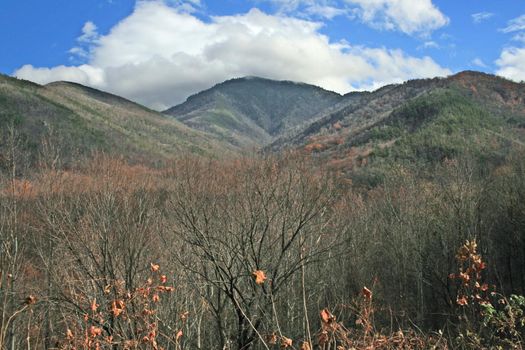 Views seen in the Great Smoky Mountains National Park in Tennessee