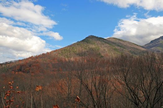 Views seen in the Great Smoky Mountains National Park in Tennessee