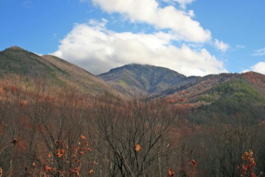 Views seen in the Great Smoky Mountains National Park in Tennessee