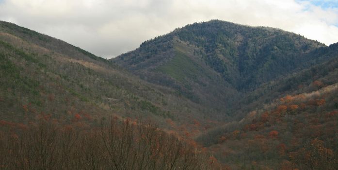 Views seen in the Great Smoky Mountains National Park in Tennessee