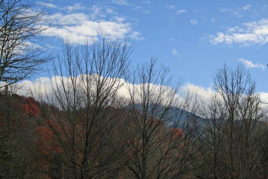 Views seen in the Great Smoky Mountains National Park in Tennessee