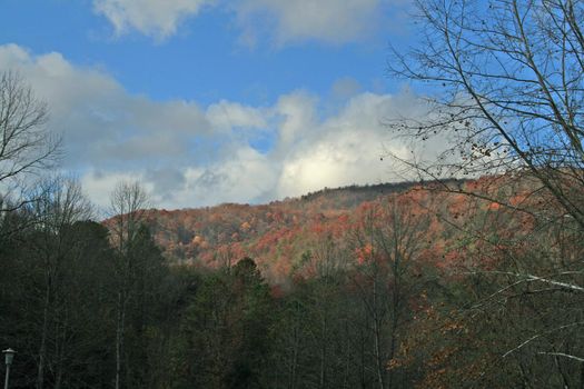 Views seen in the Great Smoky Mountains National Park in Tennessee