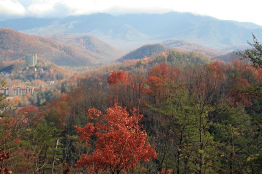 Views seen in the Great Smoky Mountains National Park in Tennessee