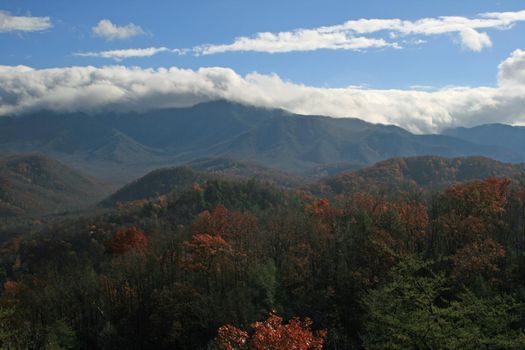 Views seen in the Great Smoky Mountains National Park in Tennessee
