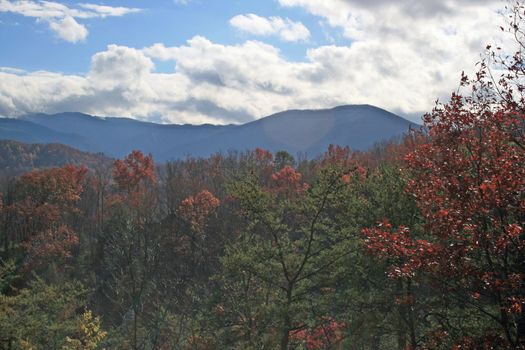 Views seen in the Great Smoky Mountains National Park in Tennessee