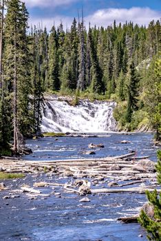 yellowstone national park nature scenes in wyoming USA