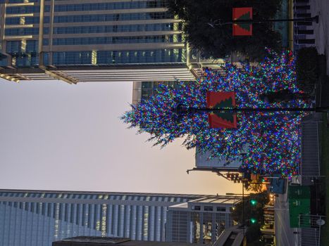 uptown charlotte north carolina usa early morning