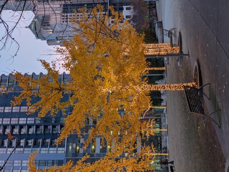 uptown charlotte north carolina usa early morning