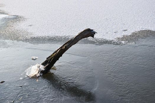 A Closeup shot of a wooden plank stuck in the ice

