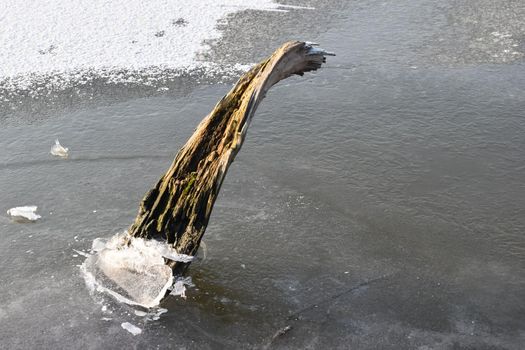 A Closeup shot of a wooden plank stuck in the ice

