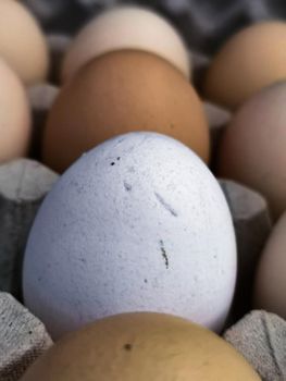 Selective focus vertical shot of chicken eggs in an egg carton