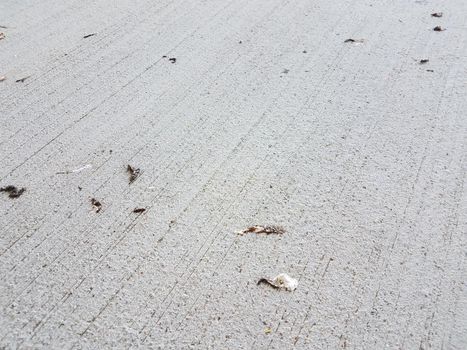 grey cement up close with bird poop