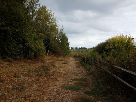 brown mulch trail or path and wood fence and green trees