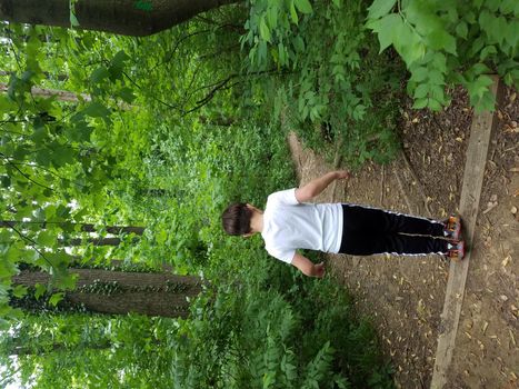 boy child walking on trail or path in woods or forest