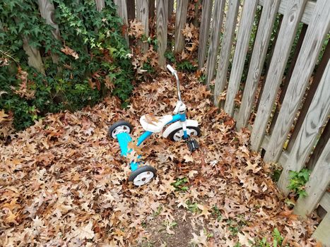 blue and white tricycle on brown leaves and wooden fence