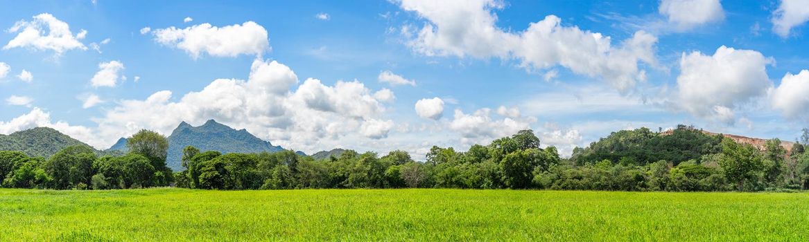 Panorama landscape view of green grass field agent blue sky in countryside of Thailand