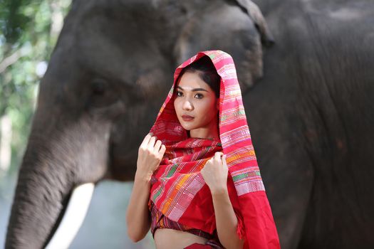 Thailand Countryside; Silhouette elephant on the background of sunset, elephant Thai in Surin Thailand.