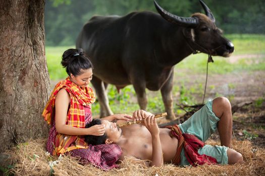 Men and women sitting by tree and buffalo in rural fields