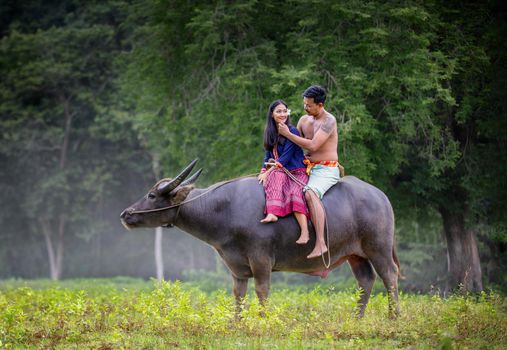 Men and women riding buffalo in rural fields