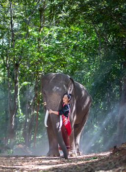 Elephant with Asian girl