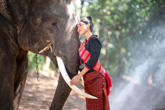 Elephant with Asian girl