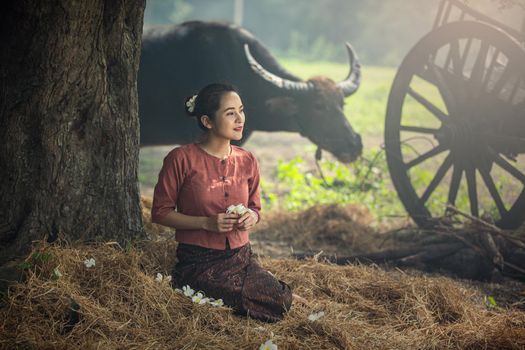 portrait of beautiful Asian woman and buffalo in field at farmland.