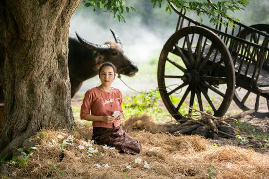 portrait of beautiful Asian woman and buffalo in field at farmland.