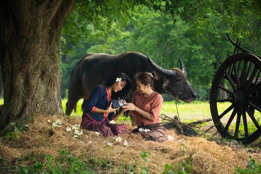 portrait of beautiful Asian woman and buffalo in field at farmland.