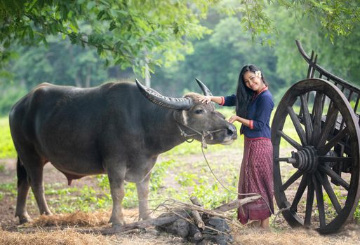 portrait of beautiful Asian woman and buffalo in field at farmland.
