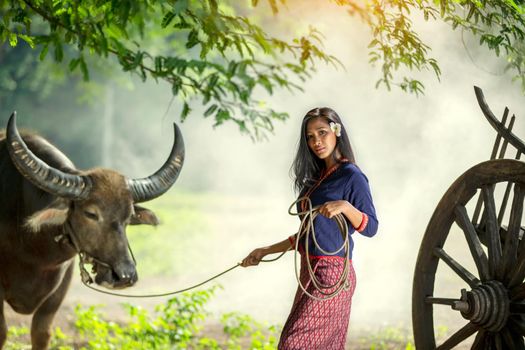 portrait of beautiful Asian woman and buffalo in field at farmland.