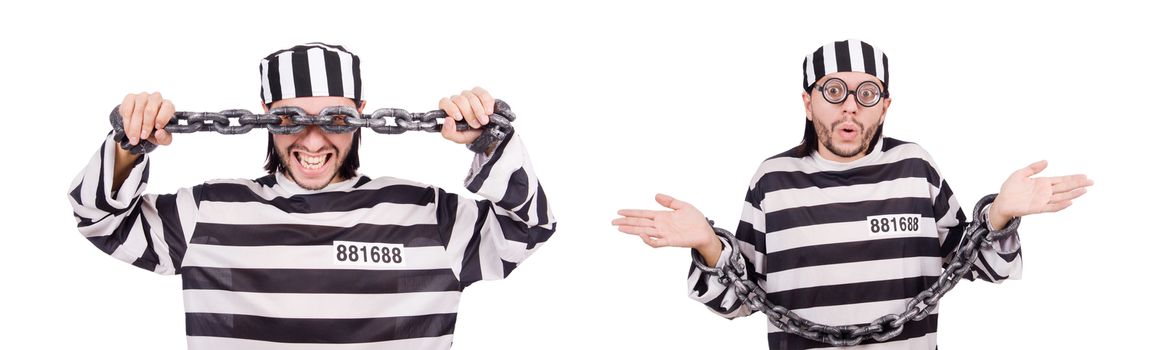 Prison inmate isolated on the white background