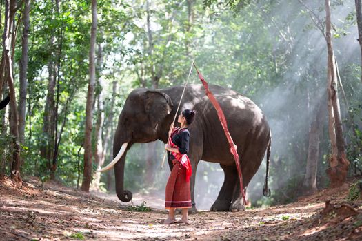 Elephant with Asian girl