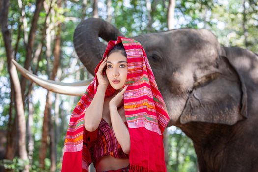 Elephant with Asian girl