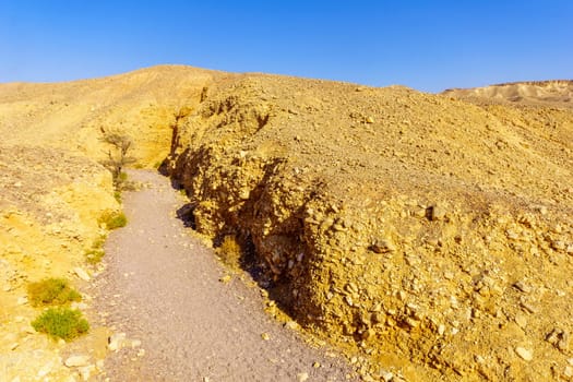 View of the Nahal Shani (desert valley, near the Red Canyon). Eilat Mountains, southern Israel.