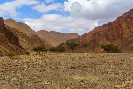 View of the Nahal Shlomo (desert valley). Eilat Mountains, southern Israel