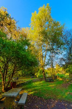 View of a Picnic area with trees, fall foliage, and the Kesalon Stream, in En Hemed National Park (Aqua Bella), west of Jerusalem, Israel