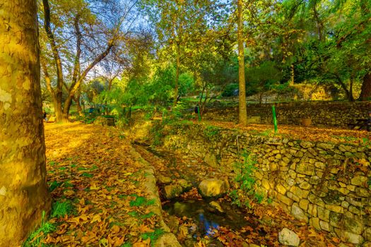 View of trees, fall foliage, and the Kesalon Stream, in En Hemed National Park (Aqua Bella), west of Jerusalem, Israel