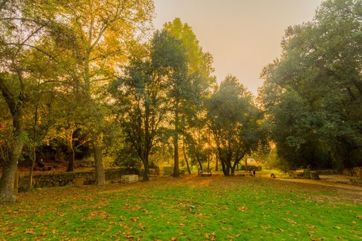 View of a Picnic area with trees, fall foliage, and the Kesalon Stream, in En Hemed National Park (Aqua Bella), west of Jerusalem, Israel