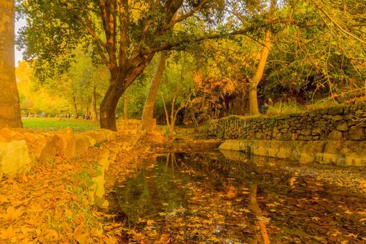 View of the Kesalon Stream with trees, and fall foliage, in En Hemed National Park (Aqua Bella), west of Jerusalem, Israel