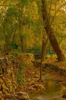 View of the Kesalon Stream with trees, and fall foliage, in En Hemed National Park (Aqua Bella), west of Jerusalem, Israel