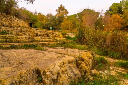 View of the Kesalon Stream with trees, and fall foliage, in En Hemed National Park (Aqua Bella), west of Jerusalem, Israel