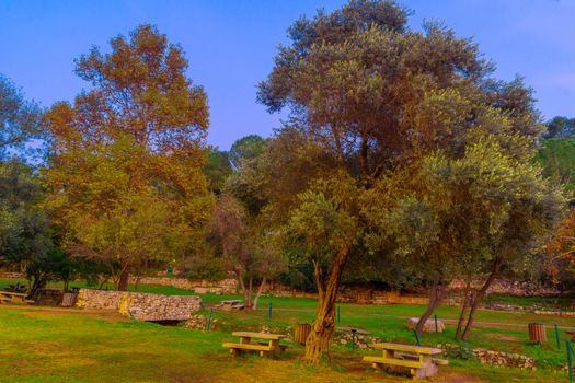 View of a Picnic area with trees, fall foliage, and the Kesalon Stream, in En Hemed National Park (Aqua Bella), west of Jerusalem, Israel