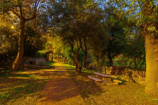 View of a Picnic area with trees, fall foliage, and the Kesalon Stream, in En Hemed National Park (Aqua Bella), west of Jerusalem, Israel
