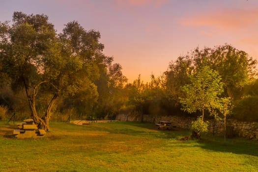 Sunset view of a Picnic area with trees, fall foliage, and the Kesalon Stream, in En Hemed National Park (Aqua Bella), west of Jerusalem, Israel