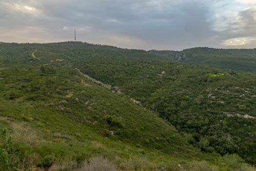 Sunrise view of the landscape of Hai-Bar Carmel Nature Reserve, and Mount Carmel Park. Northern Israel