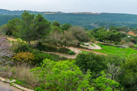 Landscape of the Hai-Bar Carmel Nature Reserve, and the slopes of Mount Carmel. Northern Israel