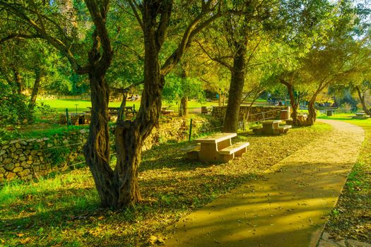 En Hemed, Israel - November 30, 2020: View of a Picnic area with trees, fall foliage, the Kesalon Stream, and visitors, in En Hemed National Park (Aqua Bella), west of Jerusalem, Israel