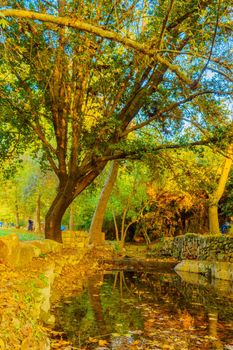 En Hemed, Israel - November 30, 2020: View of the Kesalon Stream with trees, fall foliage, and visitors, in En Hemed National Park (Aqua Bella), west of Jerusalem, Israel
