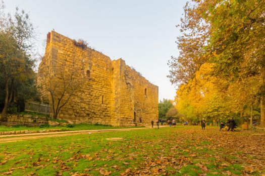 En Hemed, Israel - November 30, 2020: View of a Crusader farmhouse, with trees, fall foliage, and visitors, in En Hemed National Park (Aqua Bella), west of Jerusalem, Israel